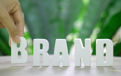 seo company in bangalore