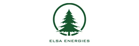Elsa